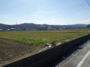 出張買取り行います