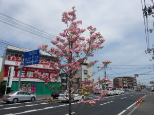 中古工具買取センター パワースポット岡山店