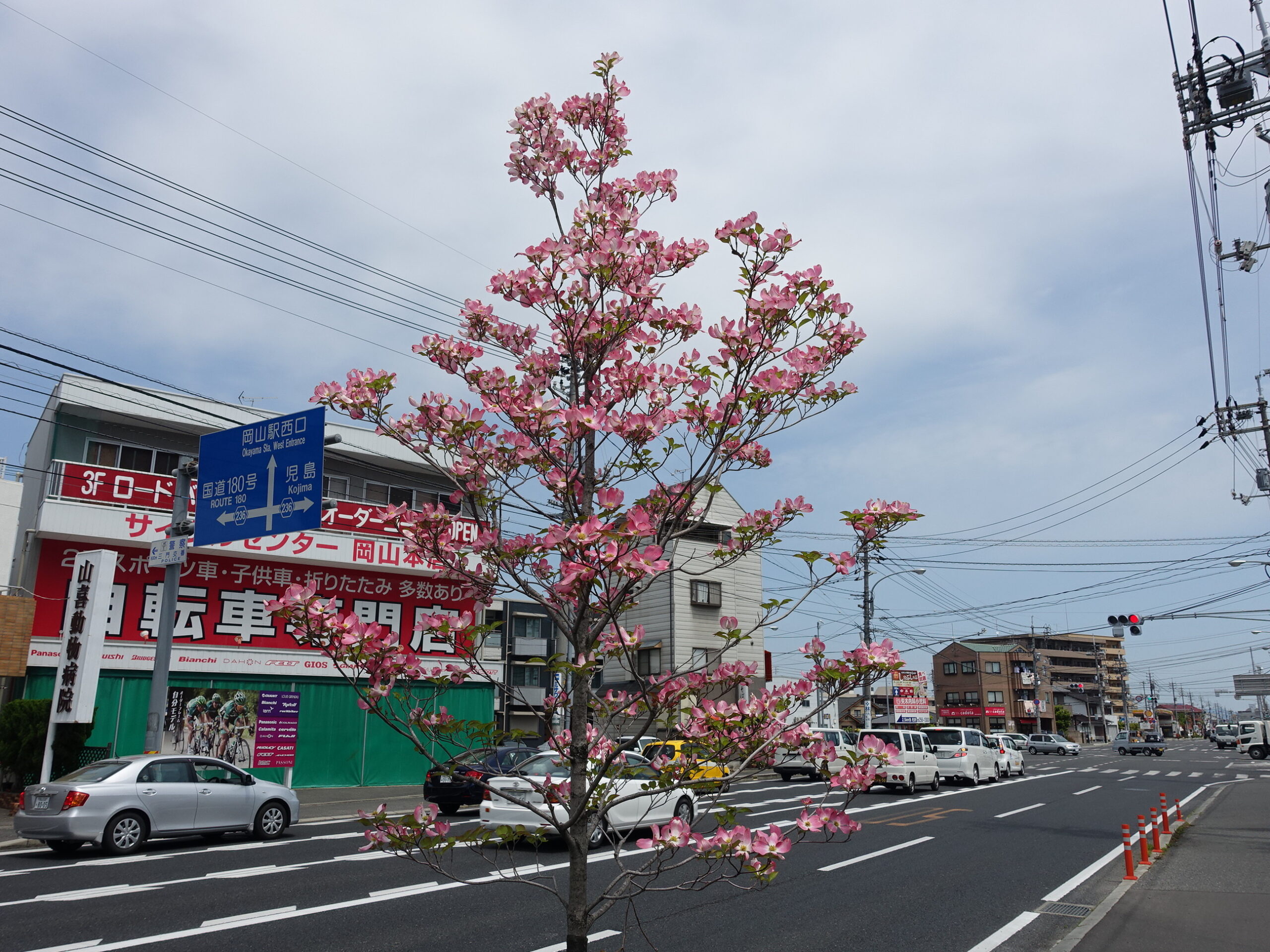 中古工具買取センター パワースポット岡山店