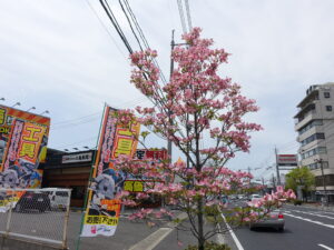 中古工具買取センター パワースポット岡山店
