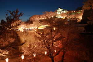 津山さくらまつり 鶴山公園 岡山県津山市山下